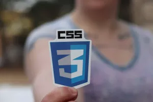 Co to CSS?